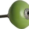 Meubelknop Porselein Ø 40 Mm Groen 2 Meubelknop Porselein Ø 40 Mm Groen -Hettich shop DV 8 10037257 03 4c DE 20190406211652